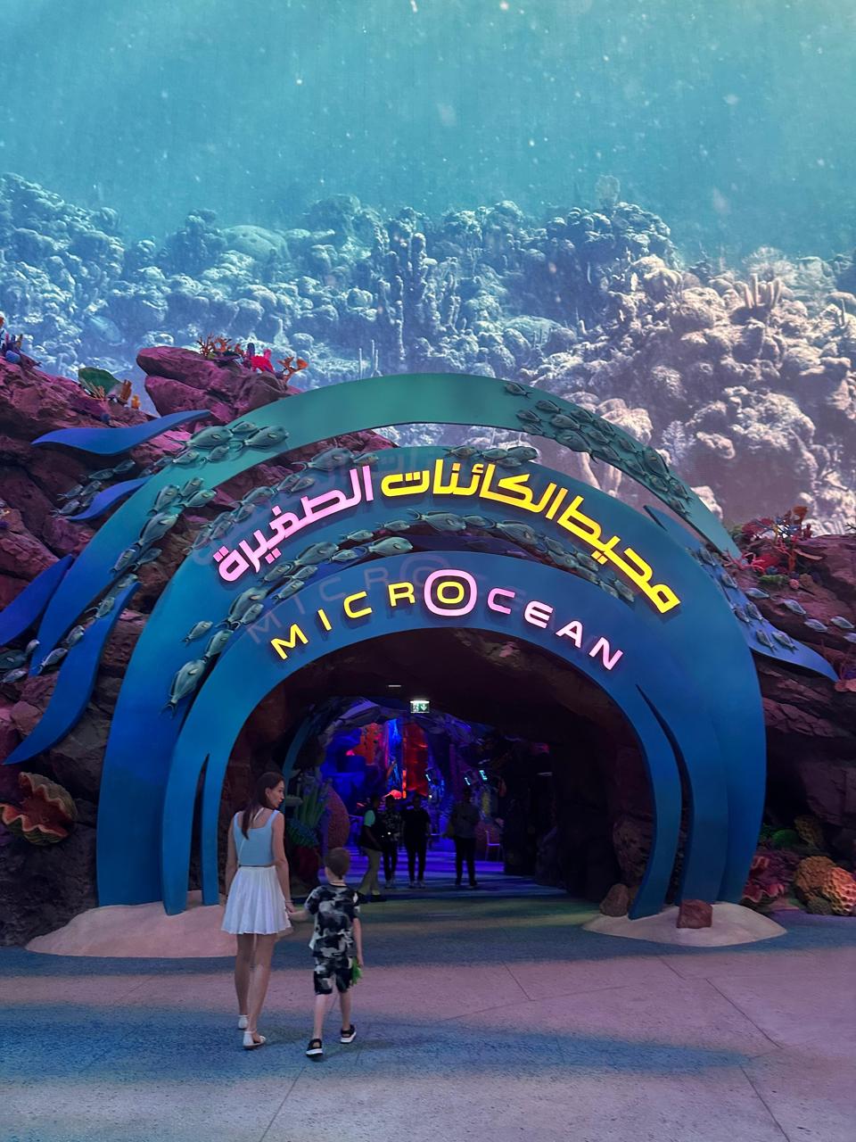 Natural History Museum Abu Dhabi